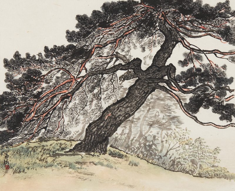 Yeongsong 12
